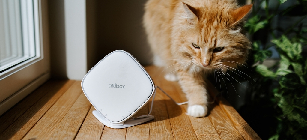 Altibox Wifi Overalt med katt