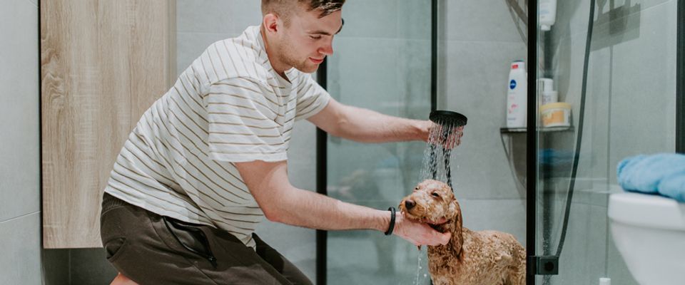 Mann dusjer hund